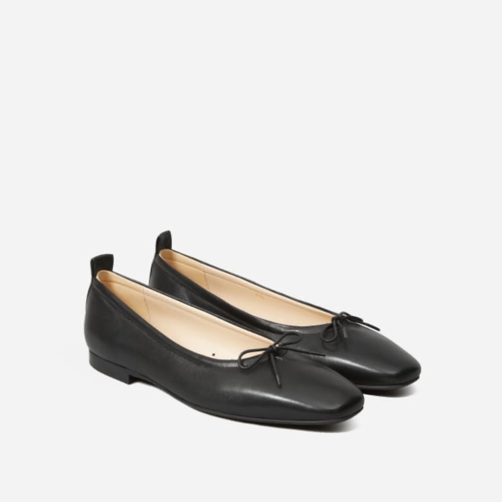 Everlane The Day Ballet Flat
